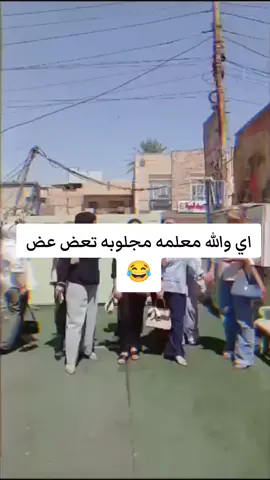 الله لا يوفقج ست شيماء 😂