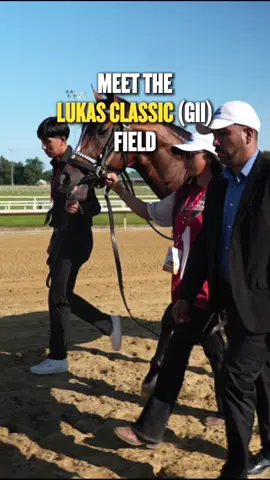 A Kentucky Derby Winner! A Dubai World Cup Winner! Who is your Lukas Classic (G2) pick? #HorseRacing #Thoroughbred #fyp #horses #racehorse