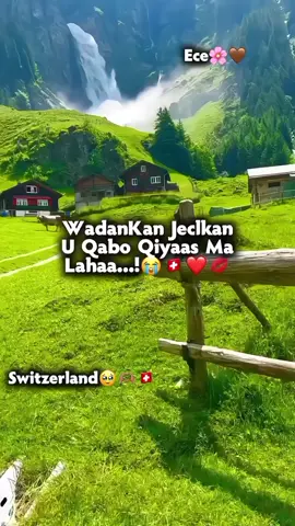 igu so duceya ina mar le cage saro ⁴⁰qofood ducadooda wa la aqbala iso duceya plzz wllyal😭💔🤲🏻🇨🇭 #switzerland #jawi_bila🌊❤️🌴 #Ece🌸🤎 #100k #milionviews #copylink10x 