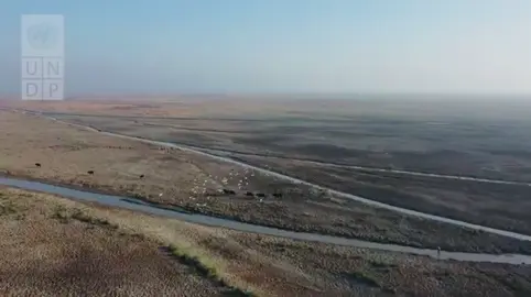 #اغاني_ريفيه #اغاني_عراقية 