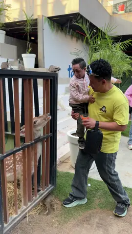 زيزو بياكل الغزاله شوف للاخر صدمه😱😂#زيزو_والبدراوي #السعودية🇸🇦 #الشعب_الصيني_ماله_حل😂😂 