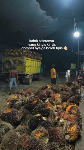 🔥🔥#sawitontiktok #riau #fyp 