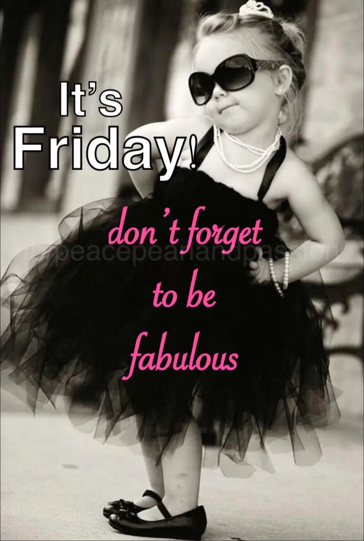 #maverickfarmsridingacademy 