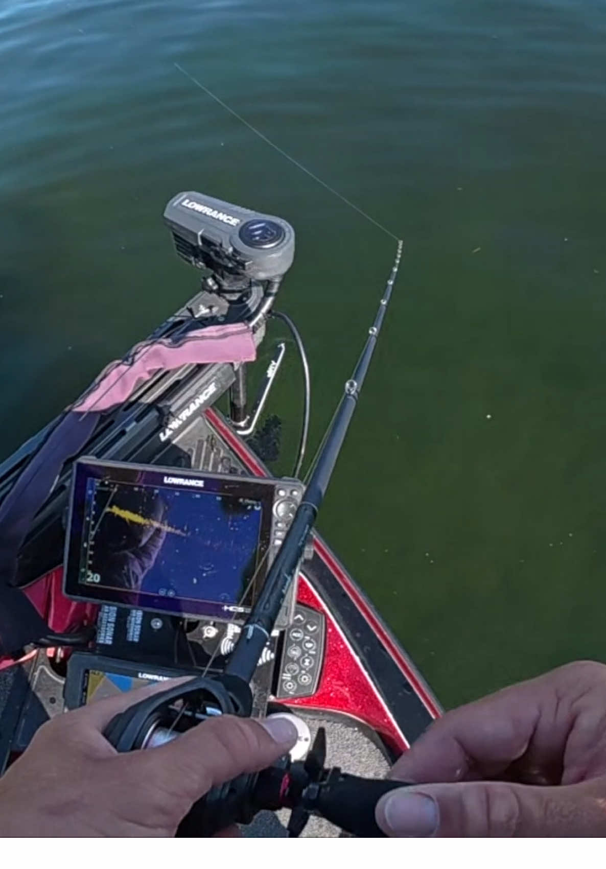 Big Glide Baits = BIG Bass 🎣🔥 #glidebait #fallbassfishing #fallfishing #extremeoutdoorsmen #dylangrubb 