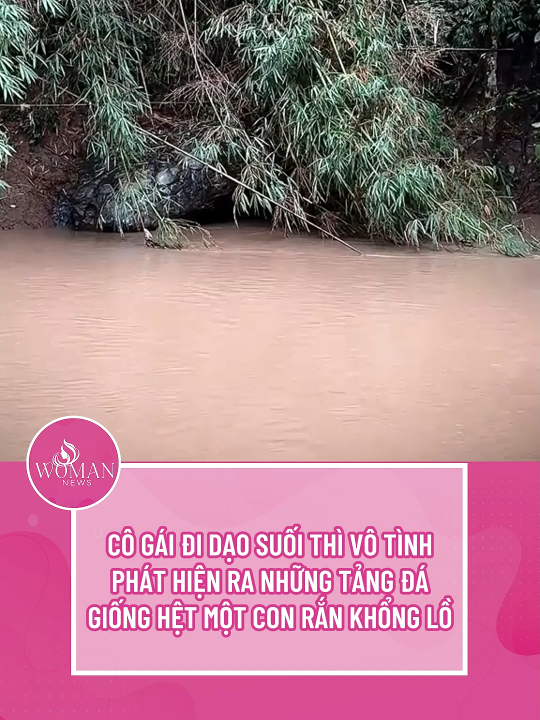 Kì lạ những tảng đá có hình thù giống hệt 1 con rắn khổng lồ #womannews #tiktoknews #tiktokgiaitri🔥