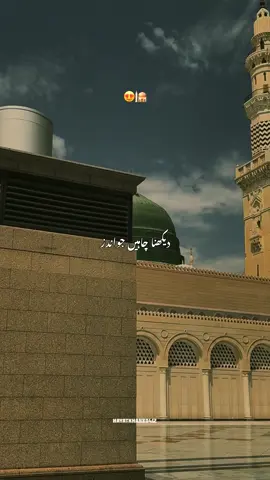 شاہِ بطحاء کے غلاموں کو وہ آکر دیکھے🥹🫀👀views problem 😓#naatsharif #صلى_على_رسول_الله_صل_الله_عليه_وسلم #islamic_video #growmyaccount #foryoupage @✨HAYAT✨ @حیات 