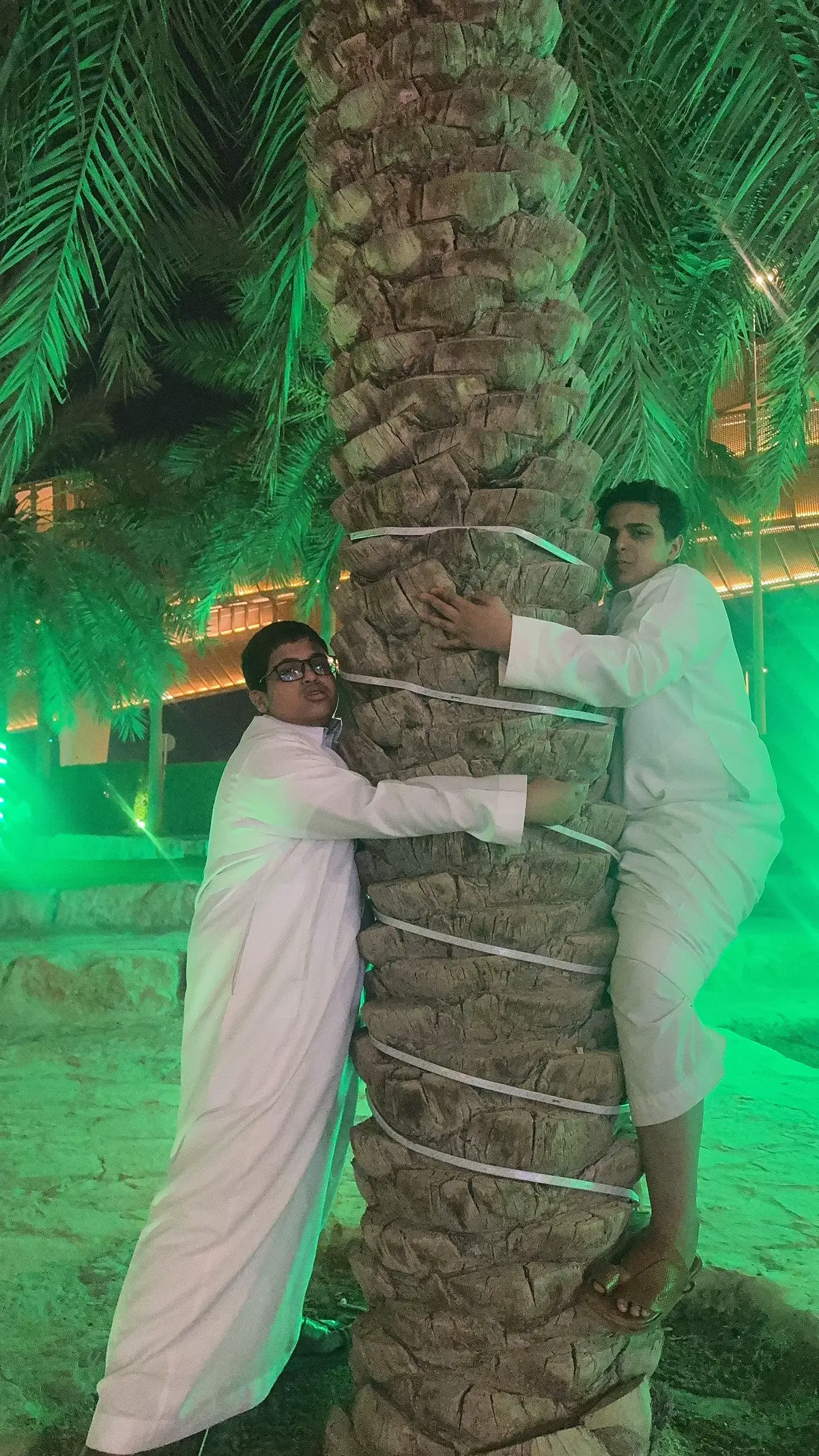 #خم_نخلة 