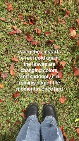 fall & winter are so bittersweet to me