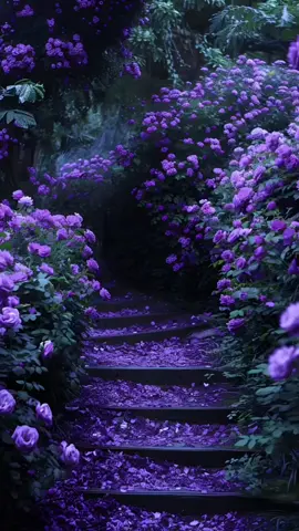 #fypシ゚ #zubeengarg #assam #songsthatgohard #songsthathitdifferent #bestsinger #legend #1m #5millionviews #1millionaudition #bollywoodsong #yaali #hindisong #views #unfreezemyacount #riplegends #viraltiktok 