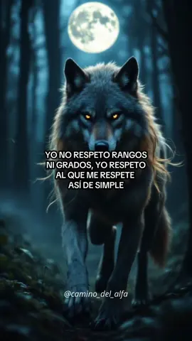 Así de simple soy🐺🔱 #lealtad #reflexion #superacion #viral #lobo 