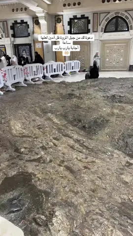 قولو. آمين لعلها ساعة إجابة يارب من جبل المروة #مكة_المكرمة #الحرم_المكي #مكة_الآن#الحرم #المدينة_المنوره 