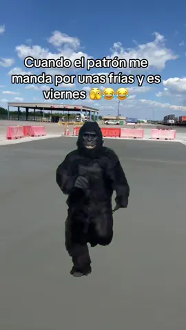 #Meme #MemeCut #viral #paratii #fypシ #paratiiiiiiiiiiiiiiiiiiiiiiiiiiiiiii #tiochivalo #construction #concretework #vivamexico🇲🇽 #viraltiktok #cheves 