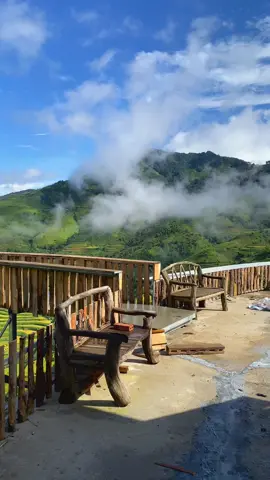 Lúa sắp chín hết rồiiii #aphuhomes #taxua ###thienduongmaytaxua #taybac #phuot 