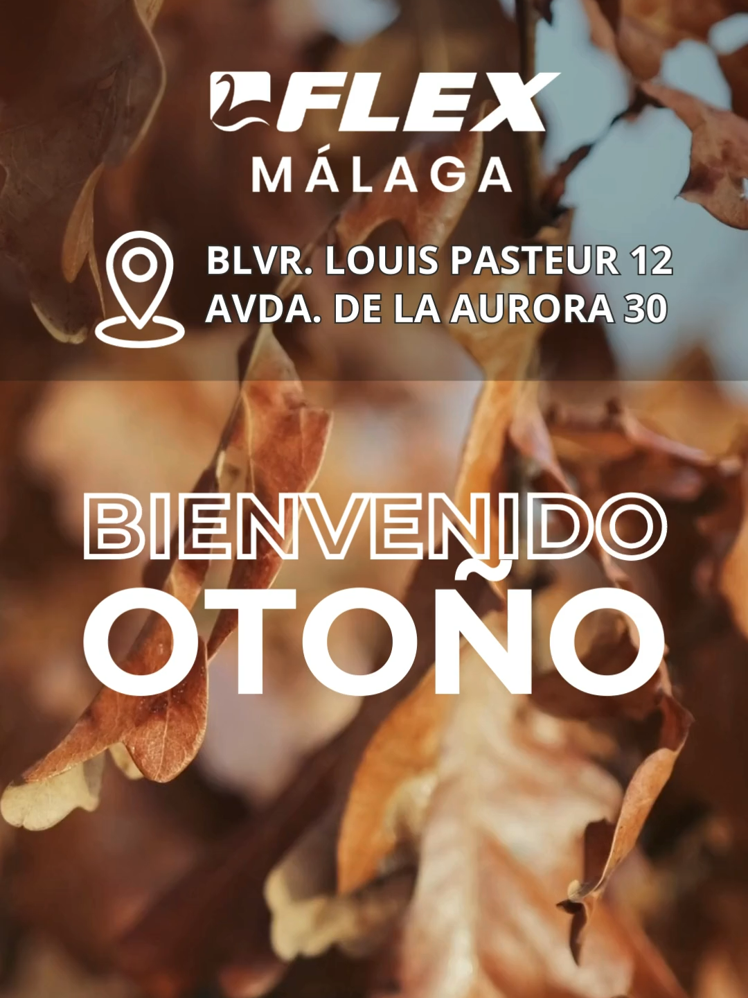 🍁 ¡Bienvenido, otoño! Nuevos colores, nuevos planes… y el mismo objetivo: descansar mejor cada noche 🛏️✨ 📍 Te esperamos en Flex Málaga AVDA. DE LA AURORA 30 BLVR. LOUIS PASTEUR 12 #FlexMálaga #BienvenidoOtoño #DescansoDeCalidad #ColchonesFlex #FlexEspaña #DormirBien #SueñoReparador #TiendaDeColchones #Otoño2025