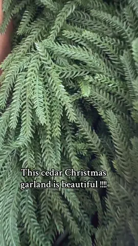 #christmasgarland #christmas #homedecor #fyp #fypppp 