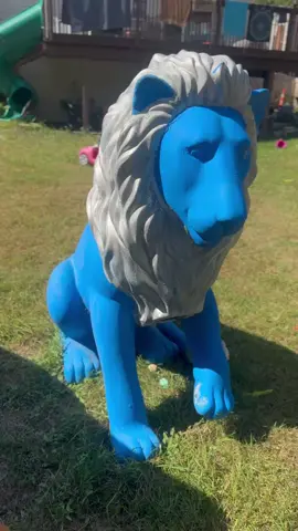 #golions #lions #detroitlions #detroit #michigan