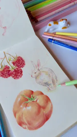 there was a lot of ups and downs with this one 🫡 one thing i do like about it though is the mishmash of colors  ✏️.* ༘⋆˚｡⋆ੈ✩‧₊ #art #sketch #coloredpencilart #holbeincoloredpencils #fabercastellpolychromos 