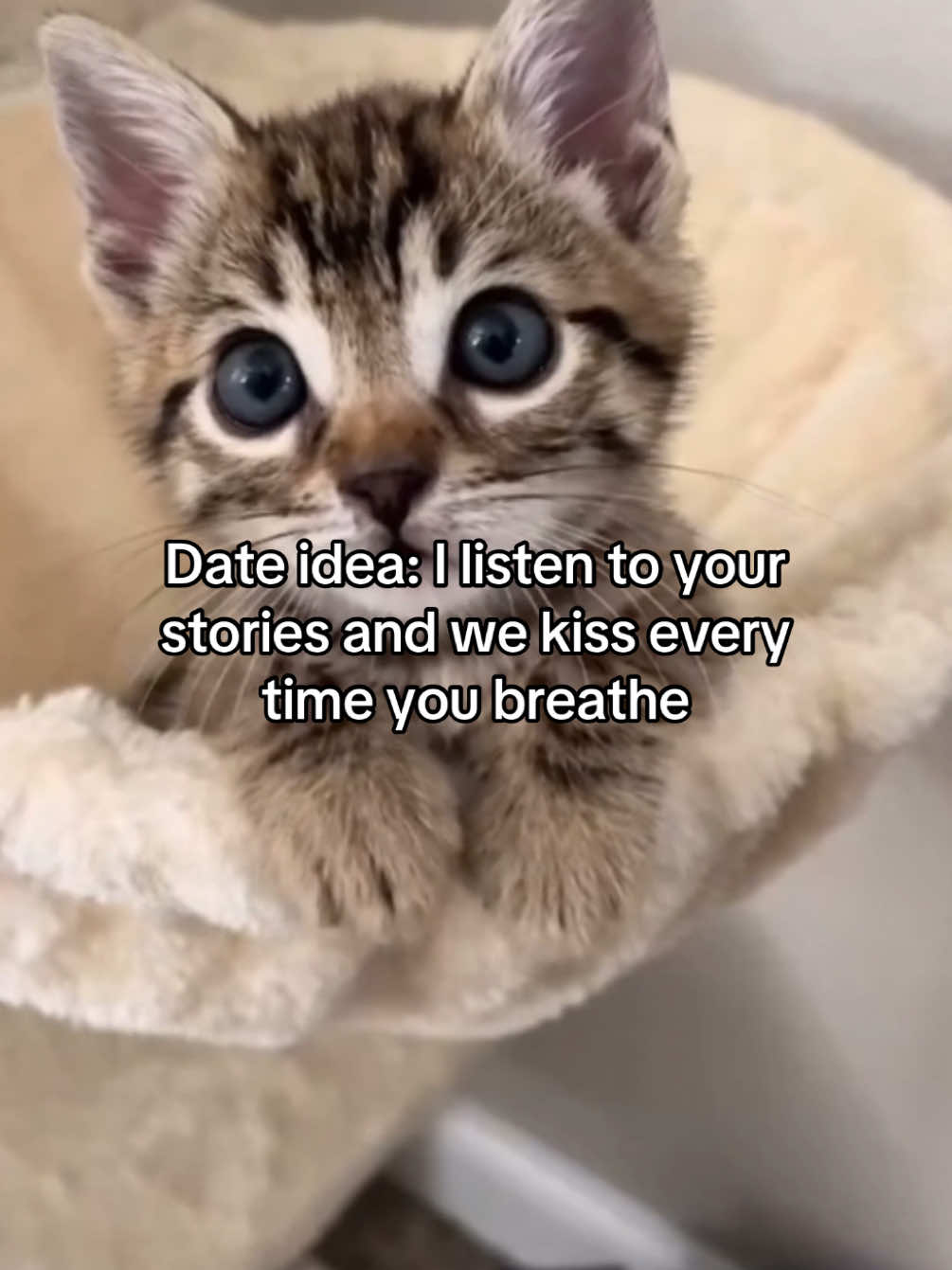 yes or yes ? #relateable #couple #Love #cattok #fyp 