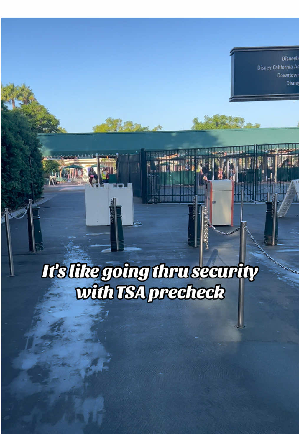 Who else doesn't mind Toy Story lot? #fyp #disneyadult #disneyland #DCA #disney 