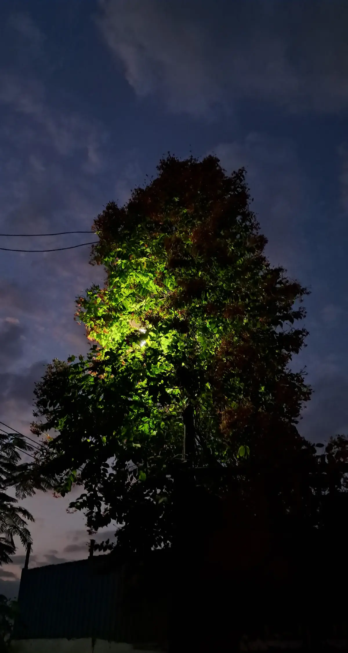 #اللهم_انك_عفو_تحب_العفو_فاعف_عنا #اللهم_اعتق_رقابنا_من_النار #fyp #يارب #الحمدالله_علی_کل_حال❤ 