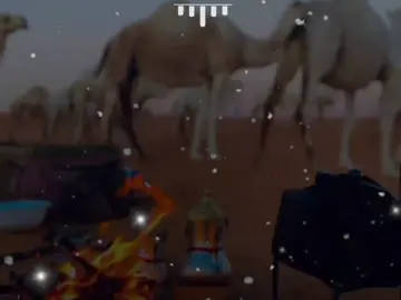 #مصمم_فيديوهات🎬🎵 #تصميمي❤️ /الدنيا كان انجي نحسبها مصمم_فيديوهات🎬🎵ج #تصميمي❤️ جميعات يا كبدي الااردن سوريا 🇸🇾 مطروح فلسطين   ليبيا 🇱🇾 طرابلس مصر 🇪🇬 تونس#المعروف_لايعرف😜🦅 #مصمم_فيديوهات🎬🎵   🇹🇳امساعد بدو ليبيا 🇱🇾 مصر 🇪🇬 الخليج العراق 🇮🇶 اشعب الصيني ماله حل بدو الفيوم وداي الريان