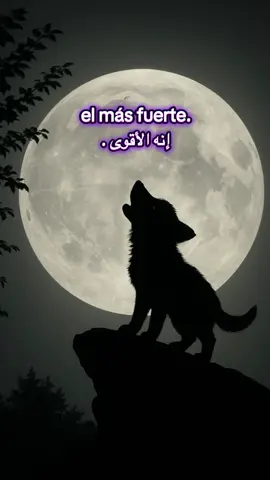 “La fuerza de hoy no lo es todo” 