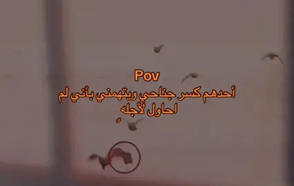 يتهمني باني لم احاول 💔#اقتباسات📝 #بكاء #خذلان #خواطر #هواجيس 