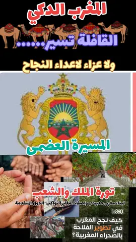 #سيدي محمد ايݣد بها 🇲🇦💯💯💯#