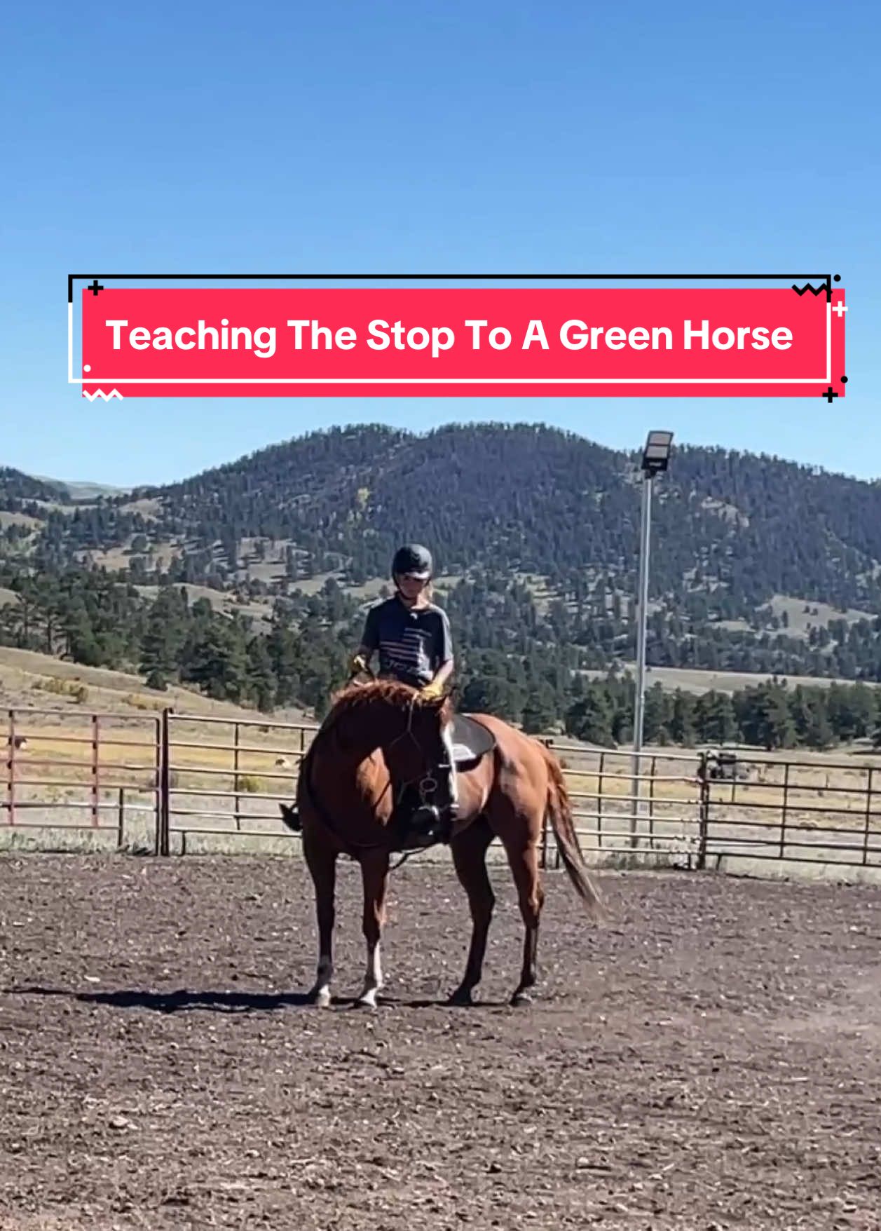 Teaching the stop to a green horse: Noah has had about five rides in the arena, here’s how we work on his stop. #fyp #coltstarting #trainingtips #horsetraining 