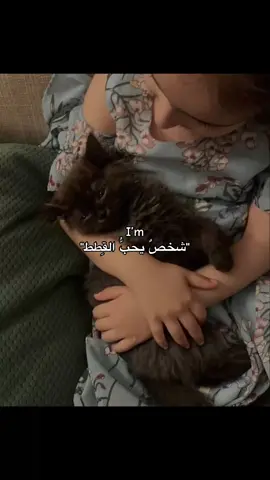 #شعور #cat #قطط #fyp 