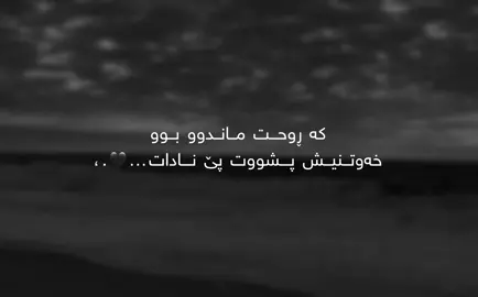 #foryoupage #parati #kurdistan #fyp 