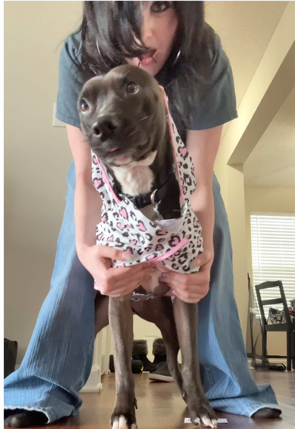#dog #dogclothes #2000sfashion #emogirl #alr3ady_d3ad50 