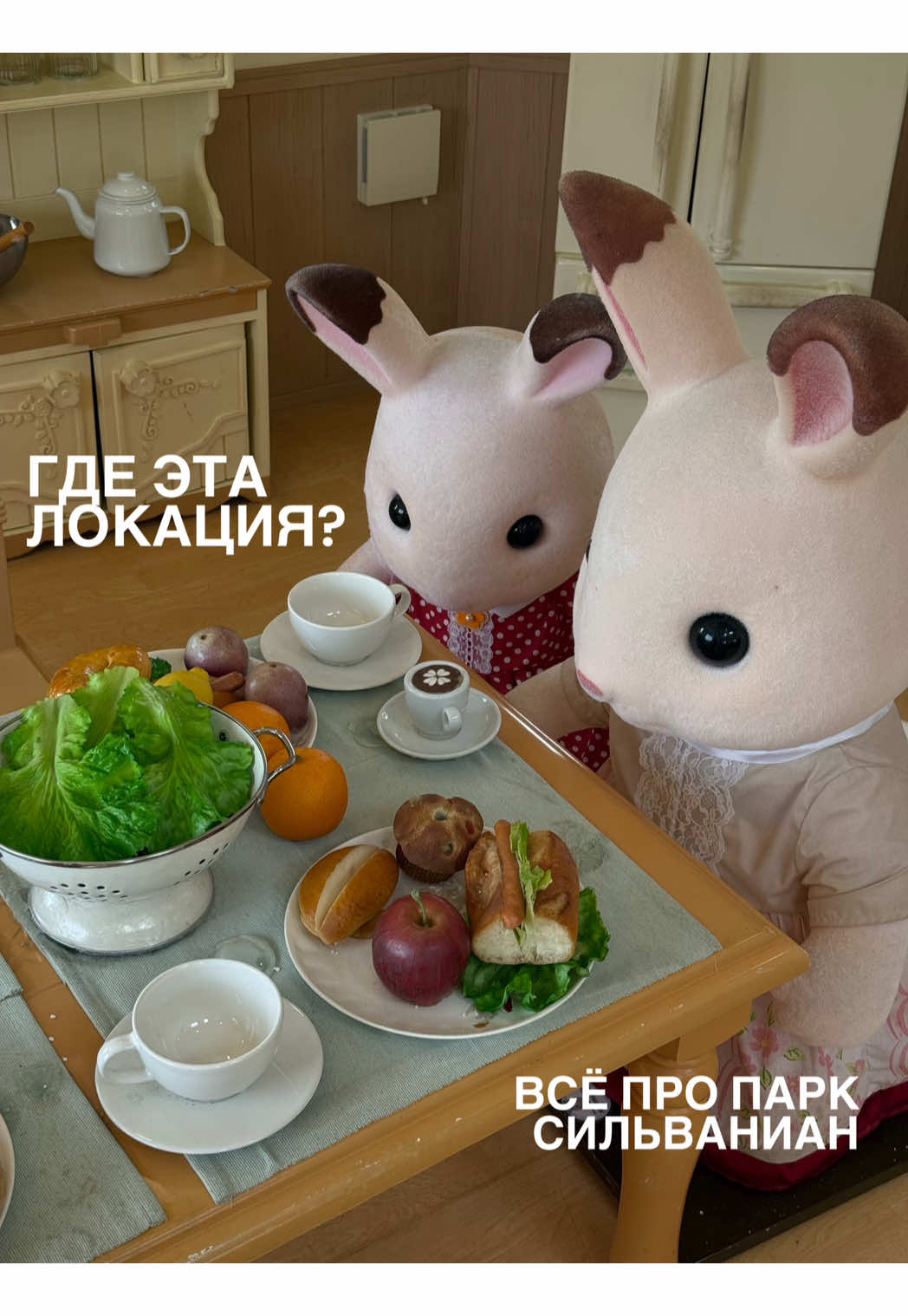 тгк: Liza Gysevskaya 🥕