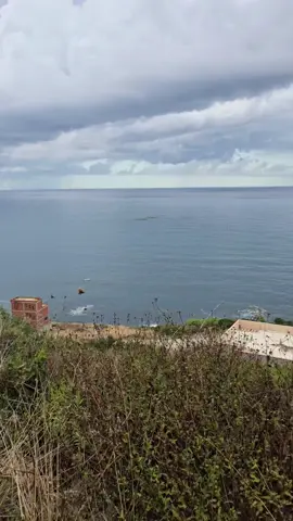 #bejaia #terrain #pourtoii #fvp #beniksila  lot de terrains de 290M² avec livret foncier individuel et certificat d’urbanisme en R+7 en vente à cmne de béni k’sila Béjaia avec vue panoramique sur la Mer  N’hésitez pas à nous contacter pour plus de détails +213797433365/+213662059531