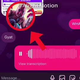 Jacket #hotlinemiami #payday2 #jacket #meme 