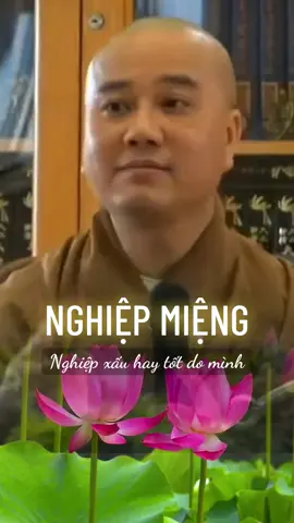 Nghiệp miệng #thichphaphoa #truclamtaythiencanada #thayphaphoa #budha 