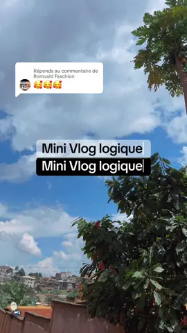 Réponse à @Romuald Faschion  vlog logique de ma journée… nous avons visité le nouveau super marché de la ville de Yaoundé sino smart …. J’ai bien aimé les prix des fleurs 🌸 