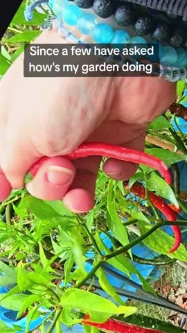 we are hanging in there 🫶 #audhder #neurodivergent #specialinterest 