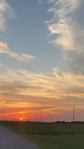 #TSTheLifeofaShowgirl 