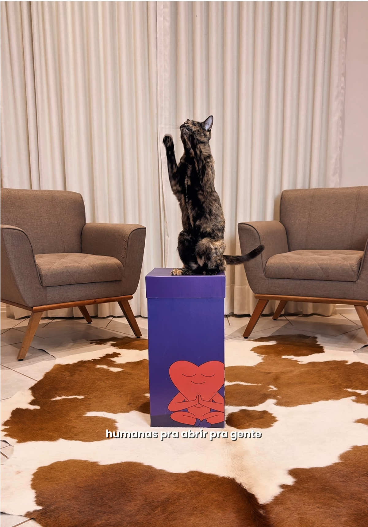 Chegou a coleção @petlovebrasil 💜 Aqui em casa eles amaram!!!  Se você é membro do clube tem 30% off nos produtos da coleção.  Além disso o lucro é revertido pra ONG. 💜 @vick_gatinhaespecial  #gatos #publi #cachorro