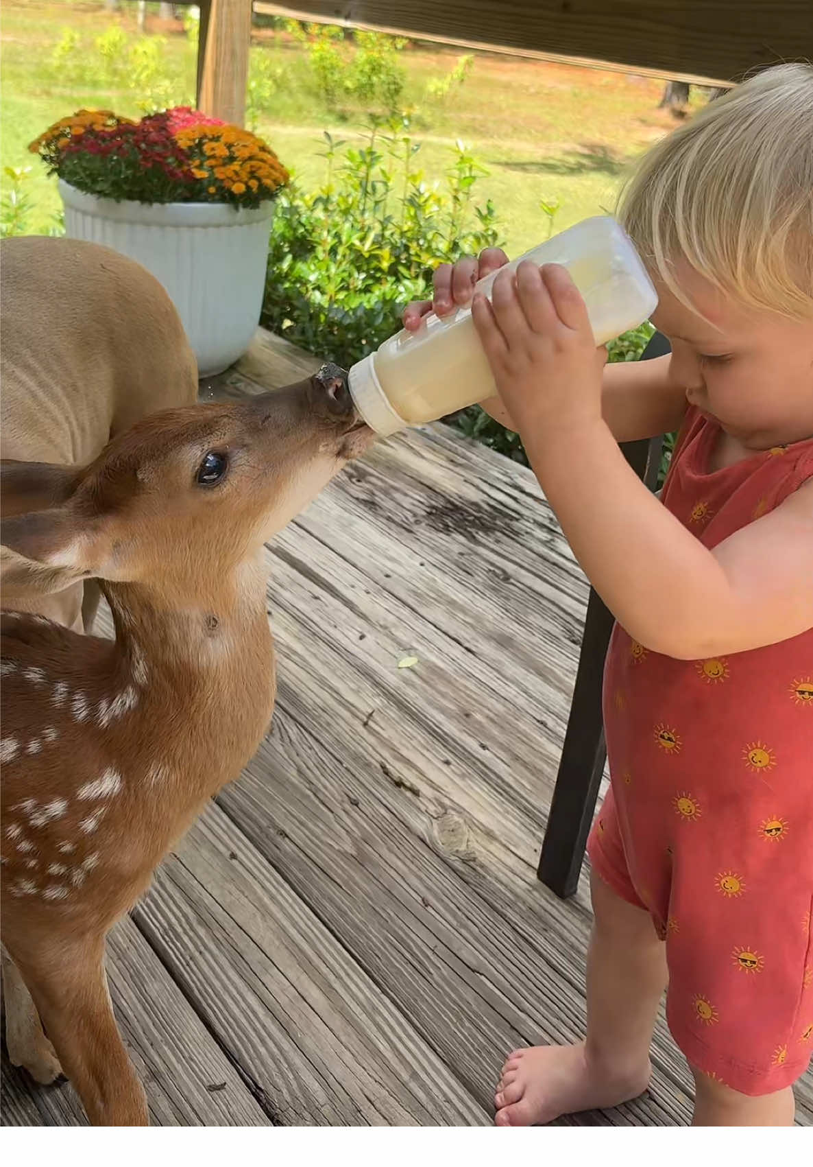 Tell me this isn’t the cutest thing you’ve seen? 🥹 