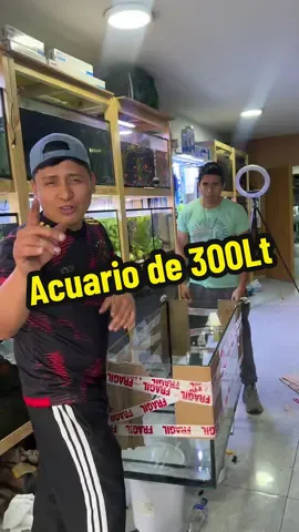 Arme este pecera de 300Lt #pecera #peceras #peces 
