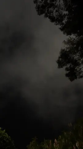 غراااامك . #ابها #fyp #بن_فطيس 