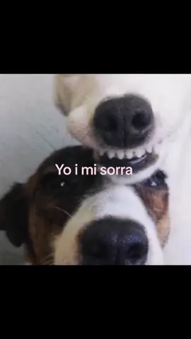 Tamo @☆lҽҽ ƙɳσɯᥫ᭡ʚᴶɞ 