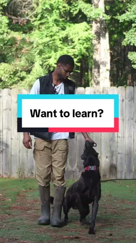 Want to learn? #calvinwilbon #dogeducation #dogsoftiktok #dogknowledge #dogsmart       