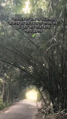 আমার কেবল ইচ্ছে হয় এই ভাঙ্গচূর জীবনের যত দায় সব ফেলে পালিয়ে যাই, মুখ থুবড়ে পড়ে থাকি কোনো গহীন অরণ্যে!🍃