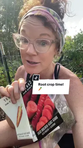 Fall garden root crop planting time in my Southern garden! What are you currently planting? My carrot tips for a southern garden! #fallgarden #southerngarden #gardentips #modernhomestead #kitchengarden @Jason Goodson 