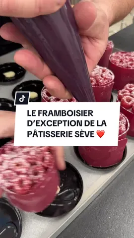 C’est le week-end ! Mais surtout bientôt la fin du sublime framboisier de la pâtisserie Sève, rendez-vous en ligne pour le réserver ! ❤️ #chocolatseve #framboisier #framboise #patissier #patisseriefrancaise 