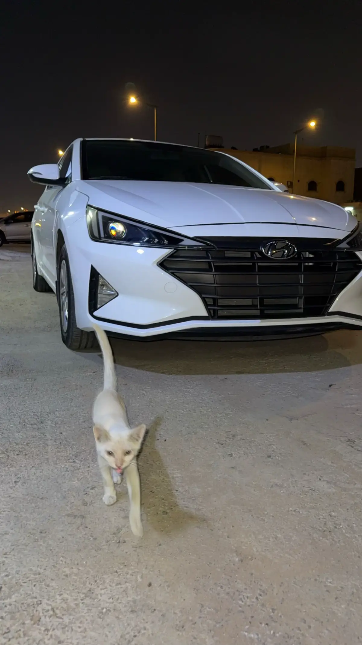 ياحبيب الروووح #انترا #CapCut #اكسبلوووووررررررررررر_تيك_توك 