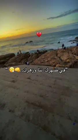 #❤️❤️❤️ #fyp #fyyyyyyyyyyyyyyyy #foryoupage❤️❤️ #algerie🇩🇿_maroc🇲🇦_tunisie🇹🇳 